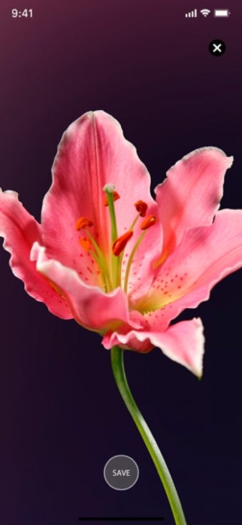 Imagen 1 para Live Wallpapers HD to iPh…