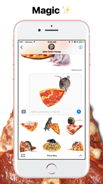 Image 3 for Pizza Rats