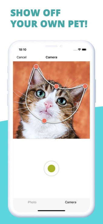 Image 0 for Toppy - My Talking Animal…