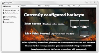 Imagen 0 para Screenge