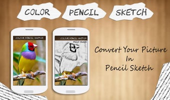 Image 0 for Color Pencil Sketch effec…