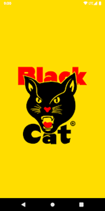 Image 0 for Black Cat Fireworks