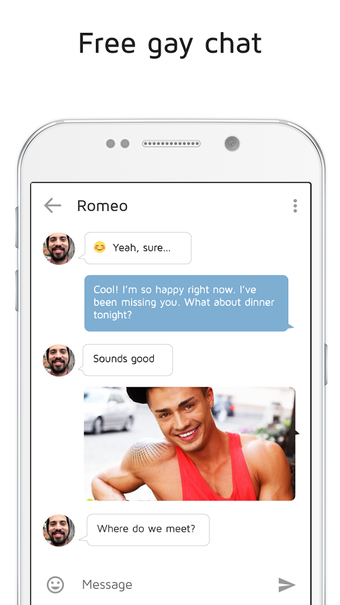 Image 1 for Gay Dating & Gay Chat - D…
