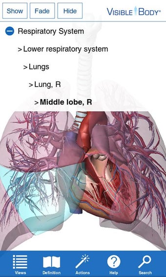 Imagen 1 para Human Anatomy Atlas