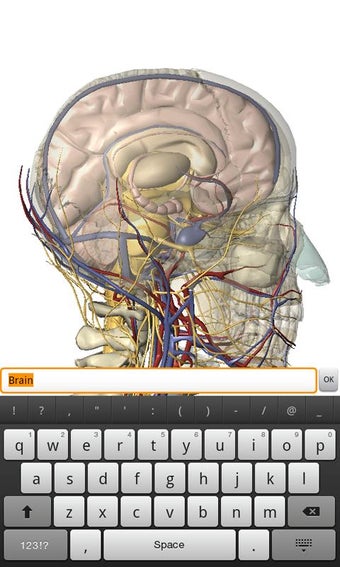 Imagen 2 para Human Anatomy Atlas