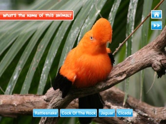 Image 3 for Animals at Zoo Lite