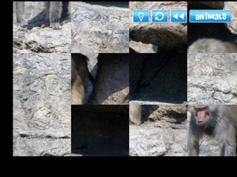 Image 0 for Animals at Zoo Lite