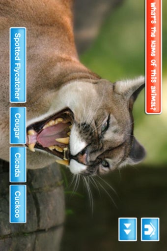 Image 2 for Animals at Zoo Lite