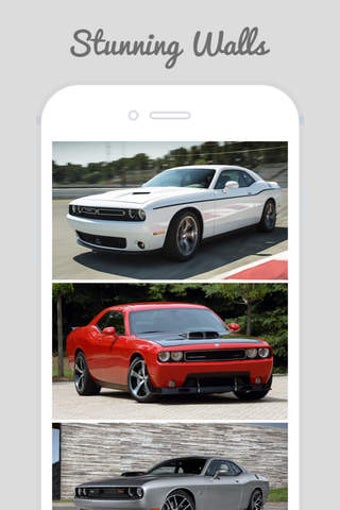 Image 0 for Wallpapers For Dodge Chal…