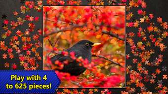Imagen 0 para Jigsaw Puzzles Epic