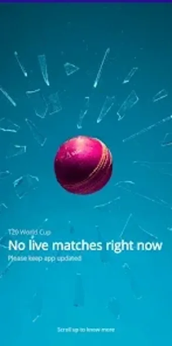 Image 0 for Cric InOuts