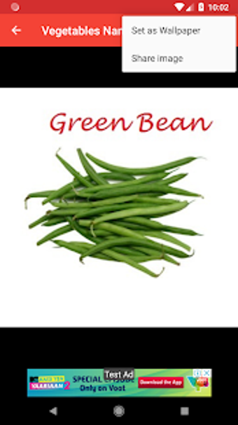 Imagen 1 para Vegetables Name with Imag…