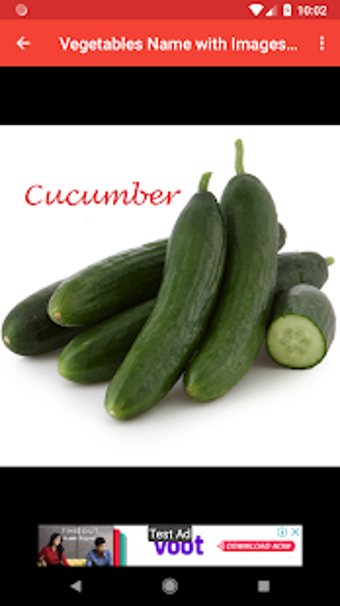 Imagen 2 para Vegetables Name with Imag…