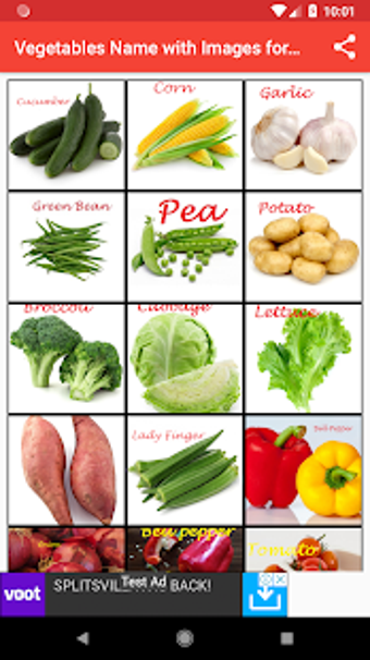 Imagen 3 para Vegetables Name with Imag…