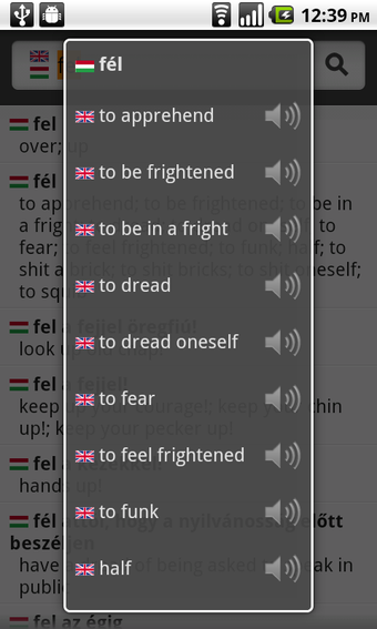 Image 1 for English Hungarian Diction…