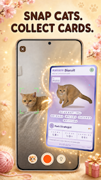 Imagen 0 para PoCats: Catch Real Cats G…