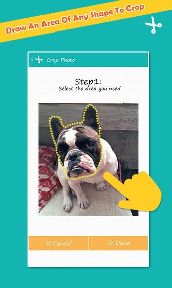 Imagen 2 para Cut Paste Photos