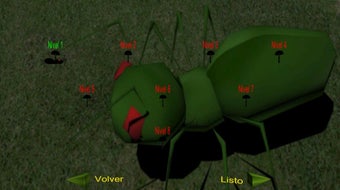 Imagen 0 para Ant Rts