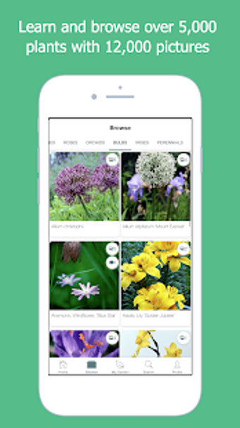 Image 0 for Right Plants