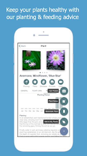 Image 2 for Right Plants