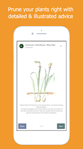 Image 3 for Right Plants