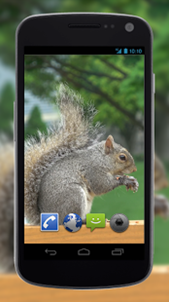 Image 3 for 4K Park Squirrel Video Li…