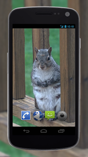 Image 0 for 4K Park Squirrel Video Li…