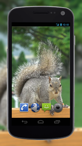 Image 2 for 4K Park Squirrel Video Li…