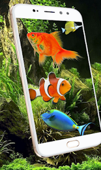 Image 2 for Aquarium Fish Live Wallpa…