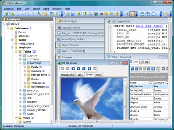 Imagen 0 para SQLite Maestro