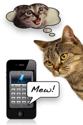Image 0 for Human-to-Cat Translator D…