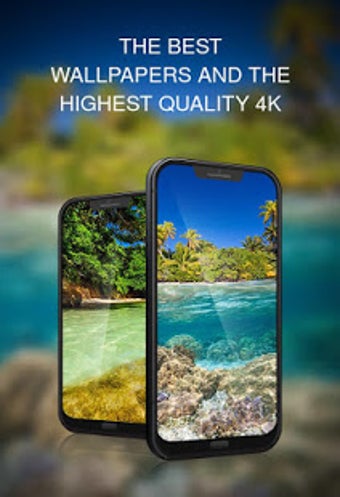 Image 0 for Tropical wallpapers