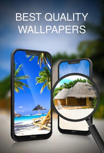 Image 3 for Tropical wallpapers