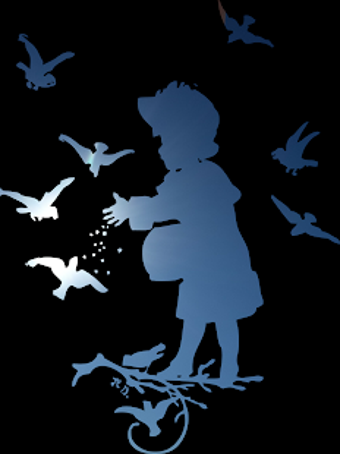 Image 0 for Silhouette Camera