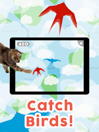 Image 1 for Games for Cats! - Cat Fis…
