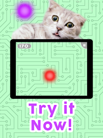 Image 0 for Games for Cats! - Cat Fis…