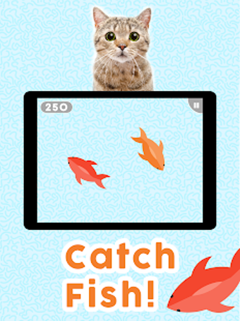 Imagen 1 para Games for Cats! - Cat Fis…