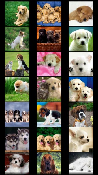 Image 0 for Dogs Wallpapers