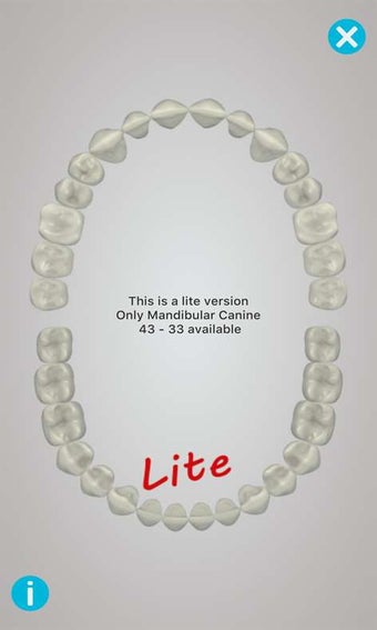Imagen 3 para Dental Corpus ANATOMY lit…