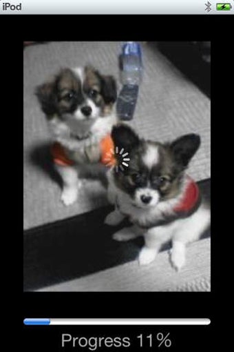 Imagen 0 para VIDEO & PHOTO into CAMERA…