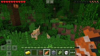 Image 1 for Minecraft
