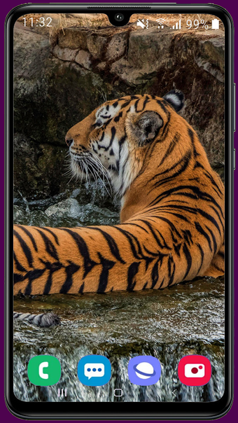 Image 0 for Royal Tiger Wallpaper HD
