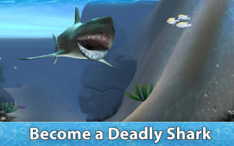 Image 0 for Shark Survival Simulator …