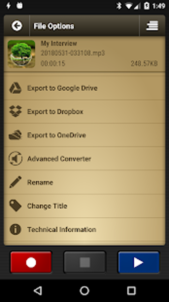 Image 3 for Voice Record Pro