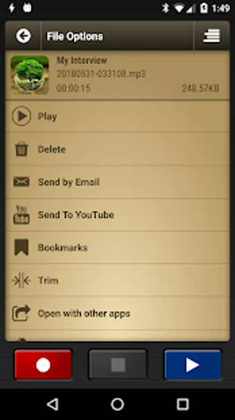Image 2 for Voice Record Pro