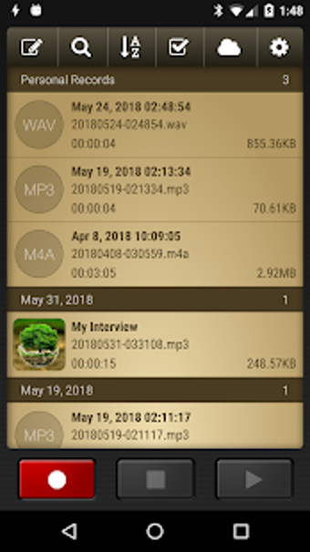 Imagen 0 para Voice Record Pro