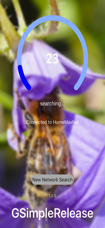 Image 1 for GSimpleRelease