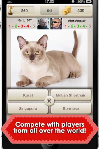 Image 0 for Cats: Guess & Win!