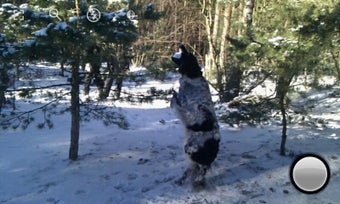 Image 1 for Fast Burst Camera Lite