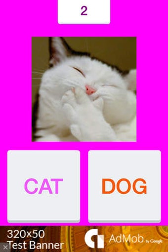 Image 0 for Tic Toc: Dog or Cat